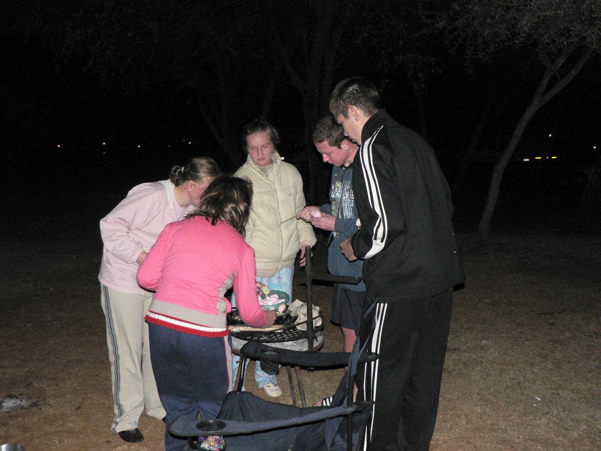 Family and friends gathered around a fire at night roasting marshmallows