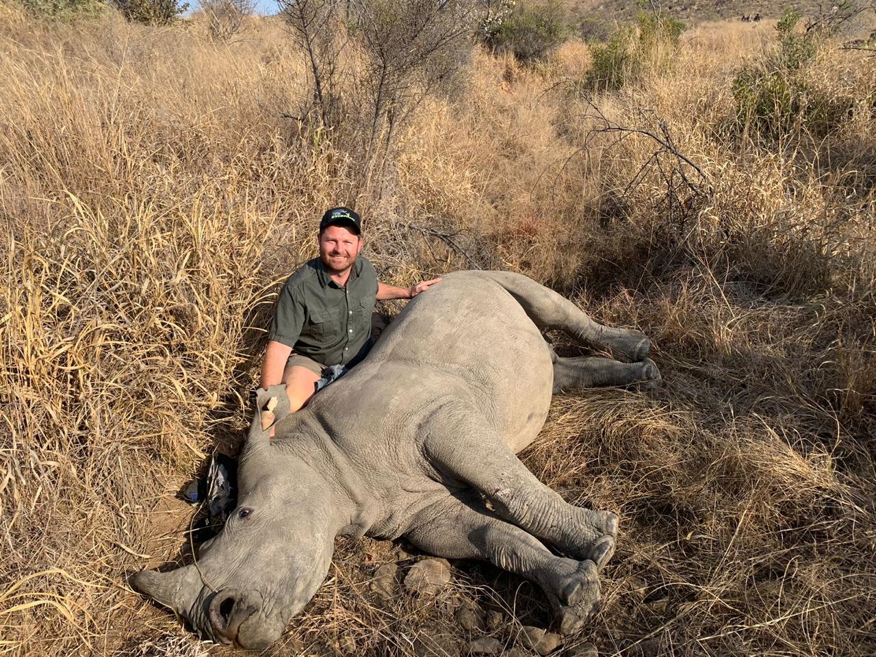 Angelo kneeling in dry grass beside a sedated white rhino