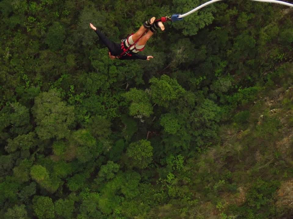 Angelo free-falling above the deep green forest canopy on the bungy cord