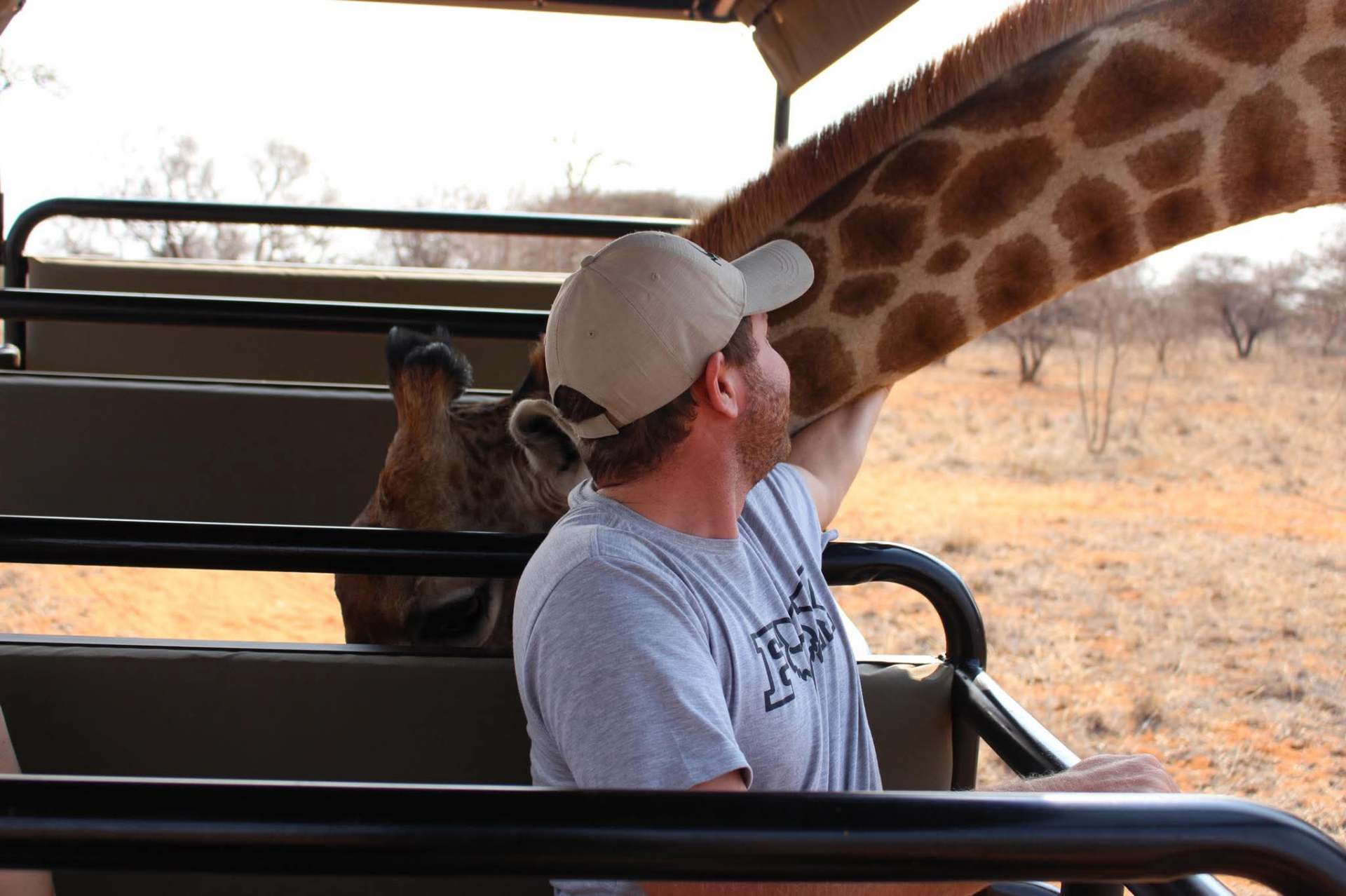 Angelo seated in an open game-viewer vehicle reaching up to stroke the underside of a giraffe's neck