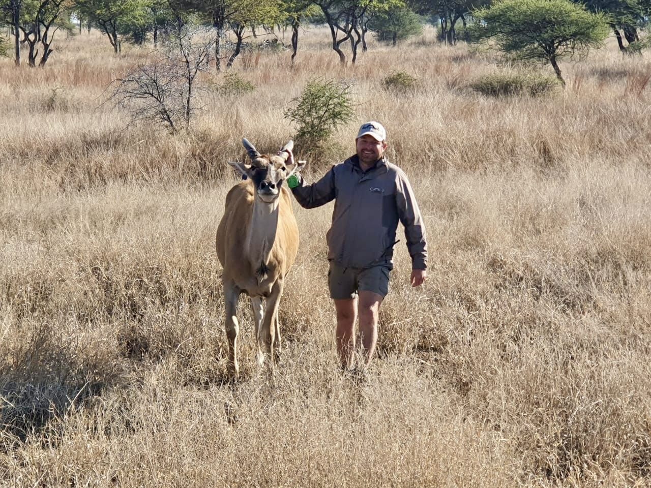 Angelo walking through dry grassland with an eland at his side