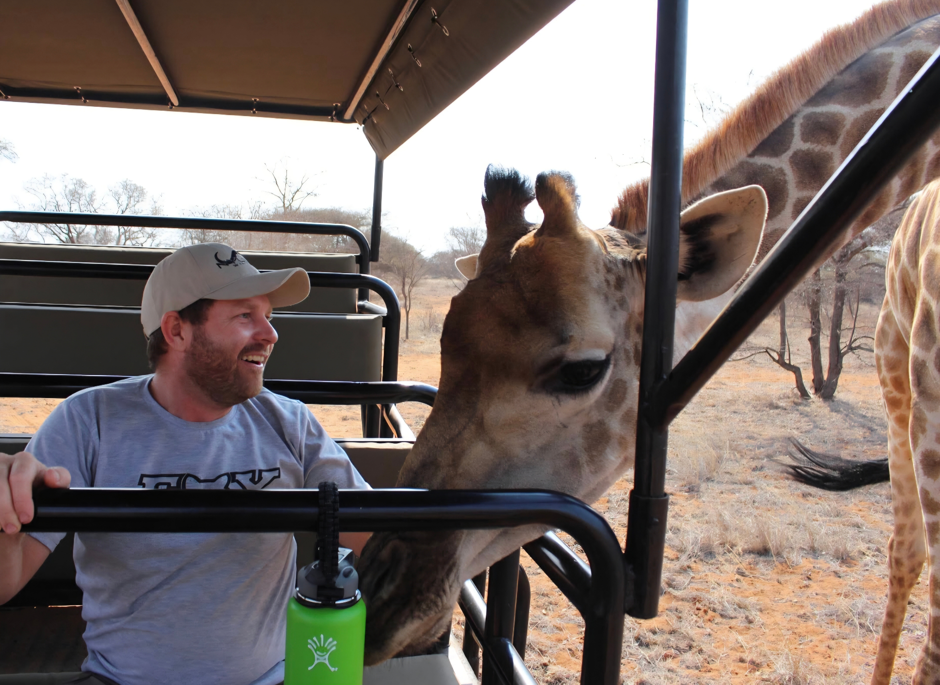 Angelo smiling broadly in an open game-viewer vehicle as a giraffe brings its head right up to the safety rail beside him