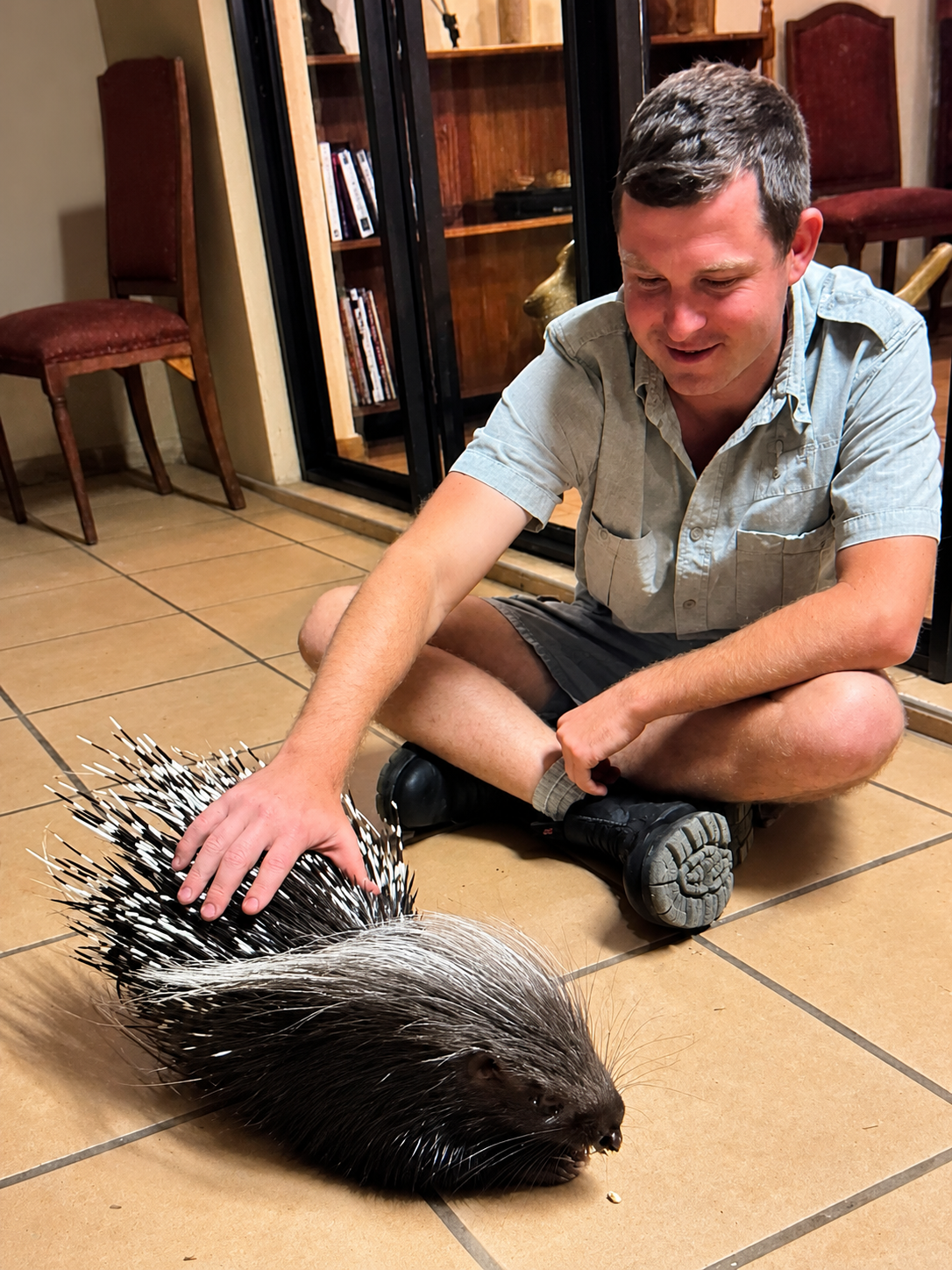 Angelo sitting cross-legged on a tiled floor, smiling as he strokes a crested porcupine