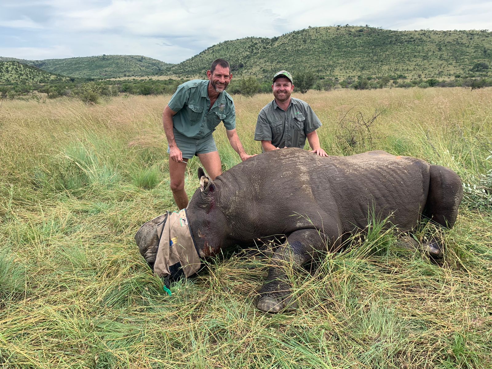 Angelo and a colleague watching over a blindfolded rhino resting in long green grass