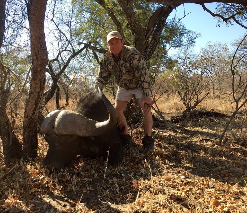 Angelo standing beside a large buffalo bull lying in the shade of a tree in dry bushveld