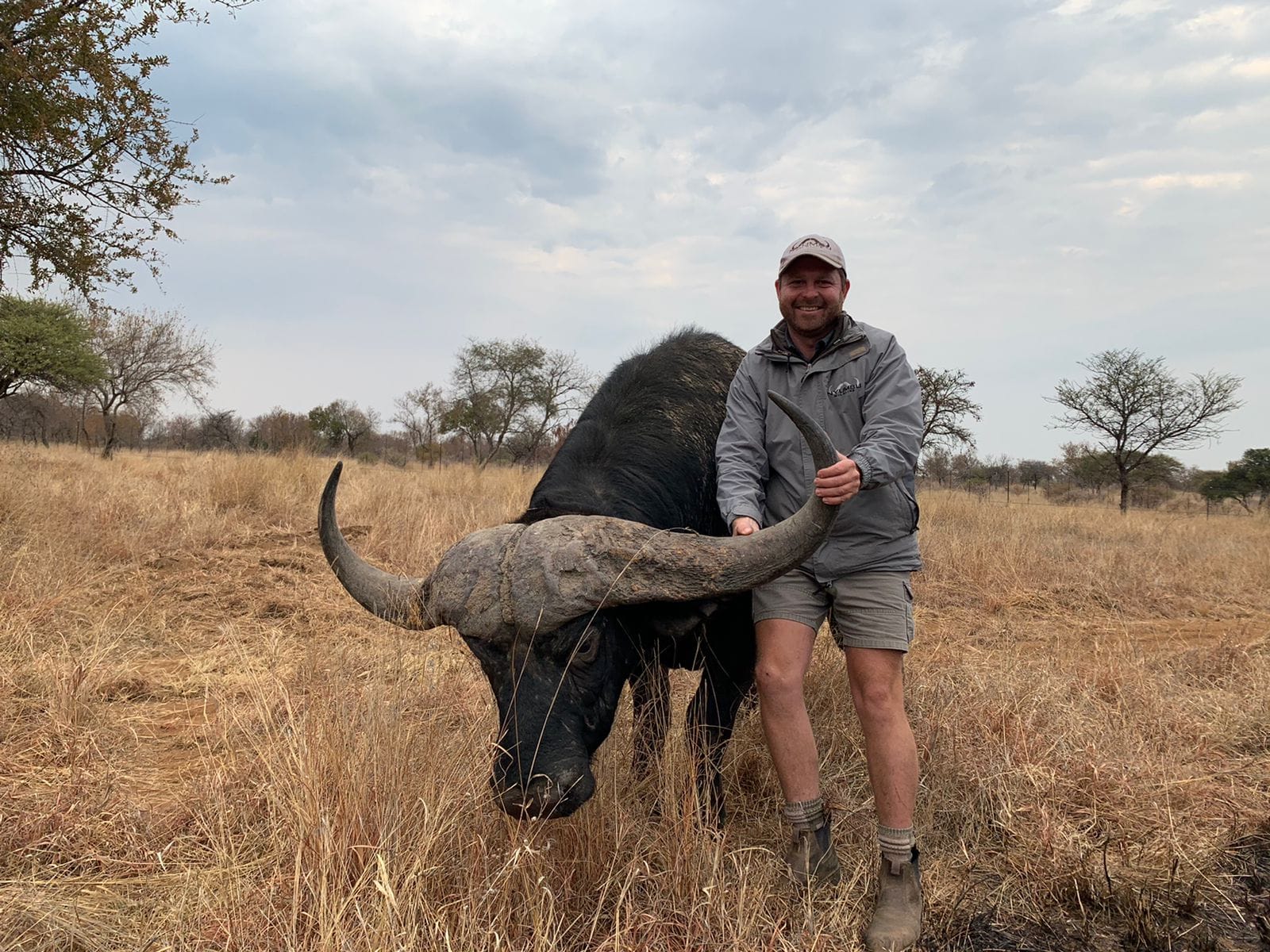 Angelo kneeling beside a buffalo bull in golden grass