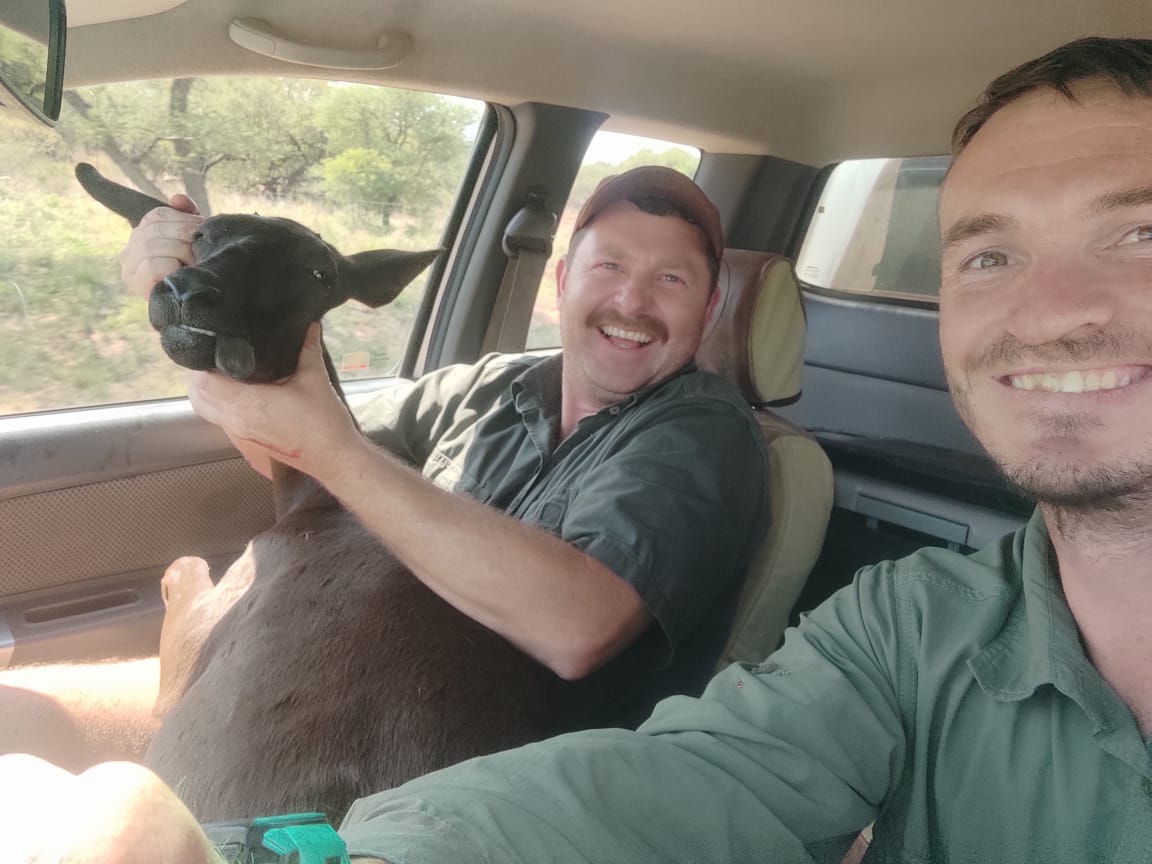 Angelo and Alwyn smiling in a bakkie with a bushbuck calf riding in the front seat