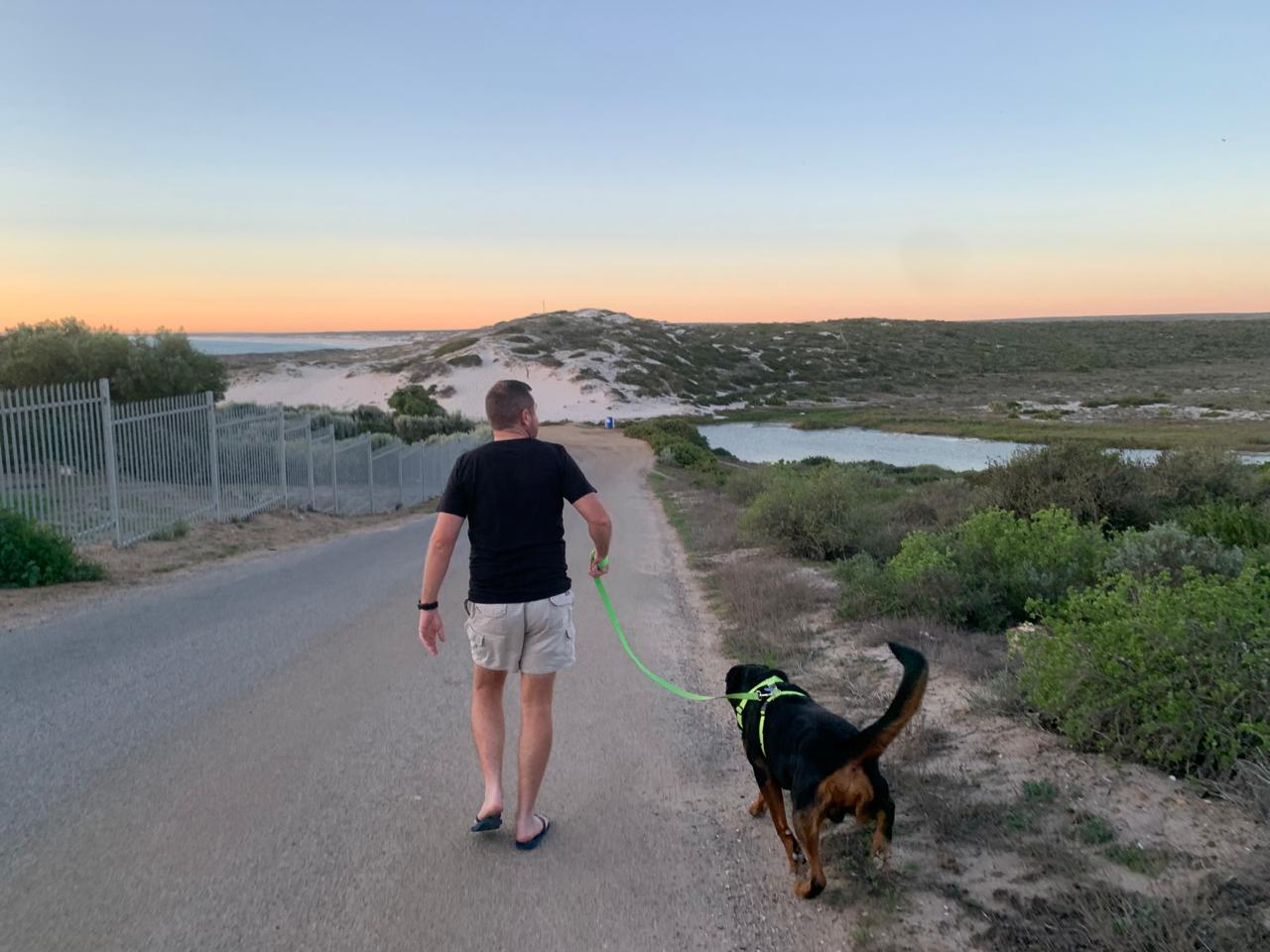 Angelo walking his rottweiler along a dirt road beside the wetlands at dusk