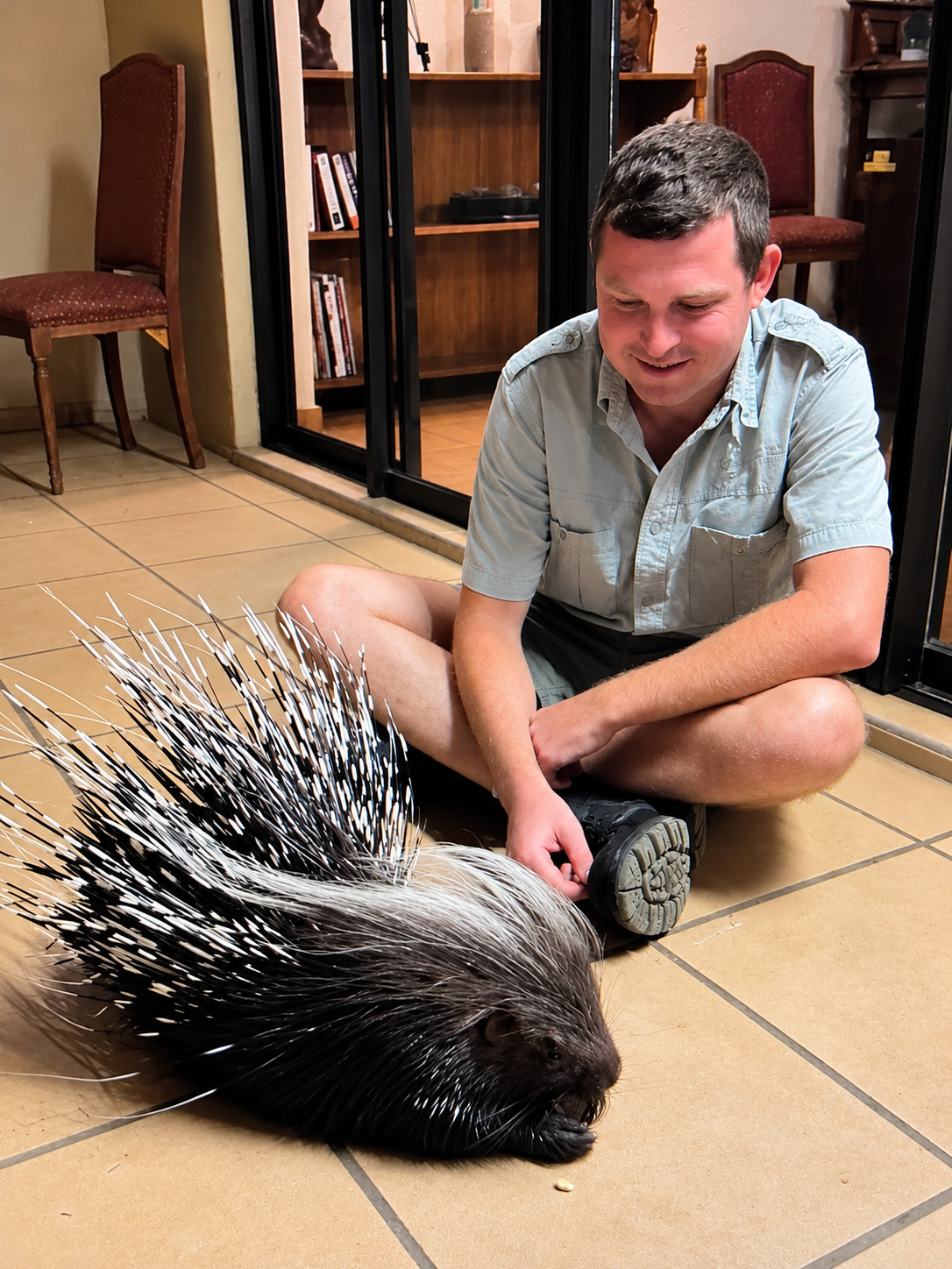Angelo sitting quietly with his hands resting by his feet as a porcupine nibbles food nearby